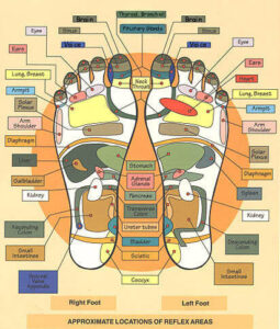 Foot Reflexology